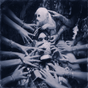 Portada de Lamber